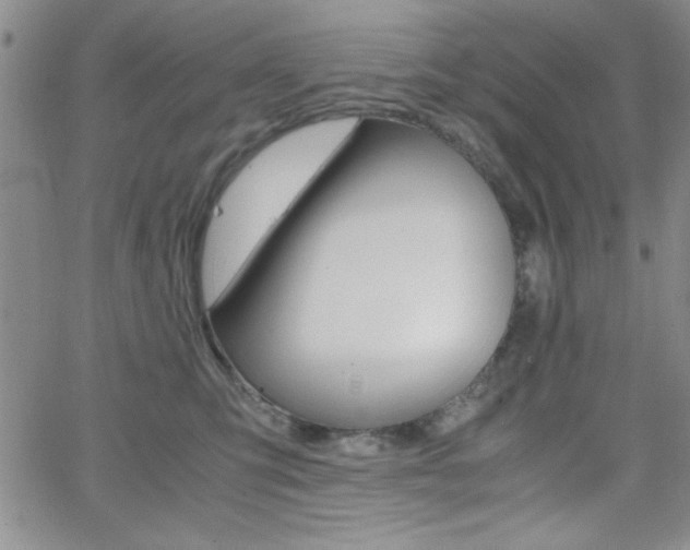 X0000062150423200512090955