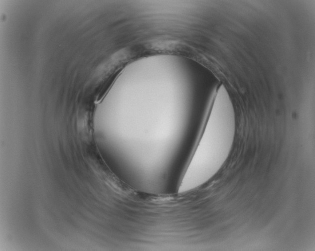 X0000062150428200512090955