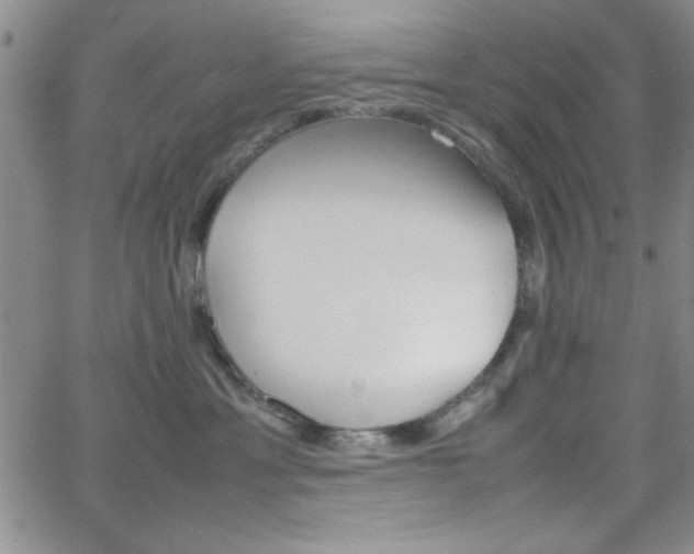 X0000062150429200512090955