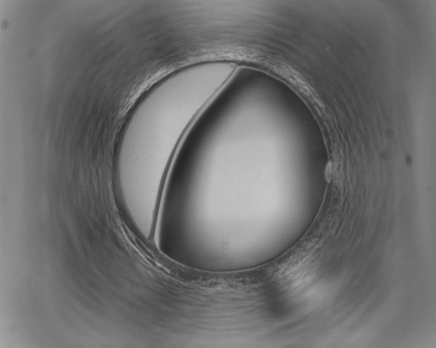 X0000062150434200512090954