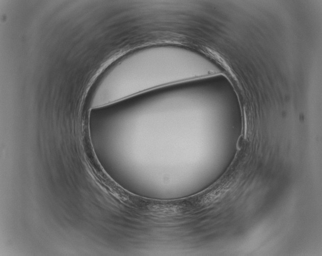 X0000062150435200512090954