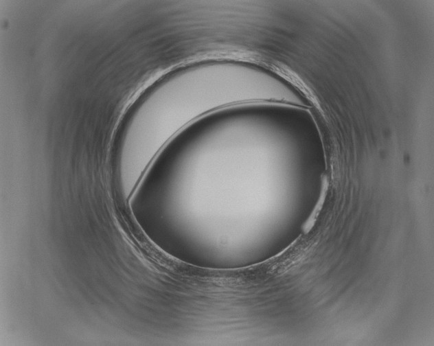 X0000062150436200512090954
