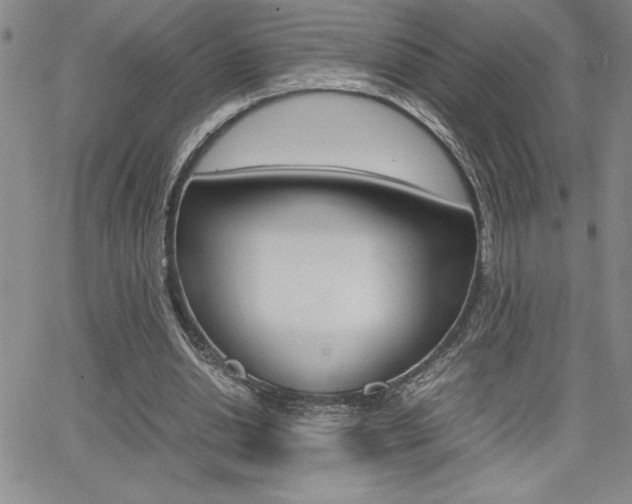 X0000062150438200512090954