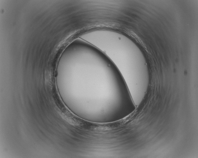 X0000062150444200512090955