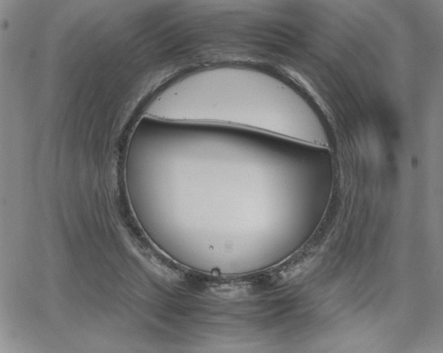 X0000062150447200512090955