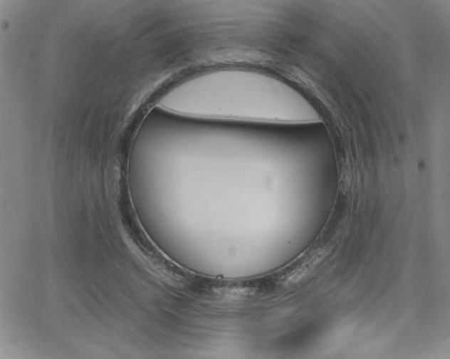 X0000062150448200512090955