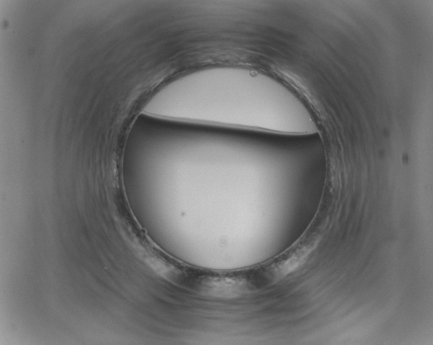 X0000062150453200512090955
