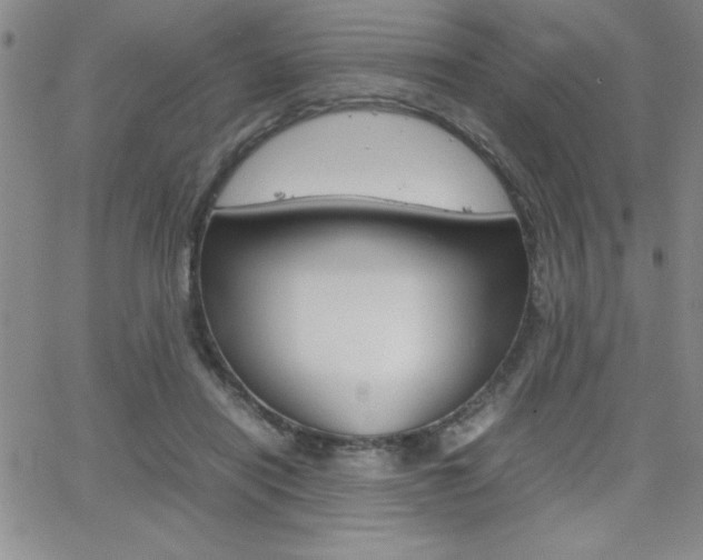 X0000062150454200512090955