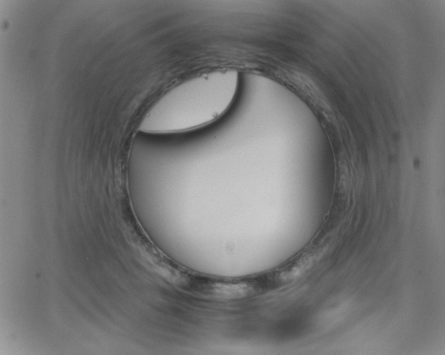 X0000062150457200512090955
