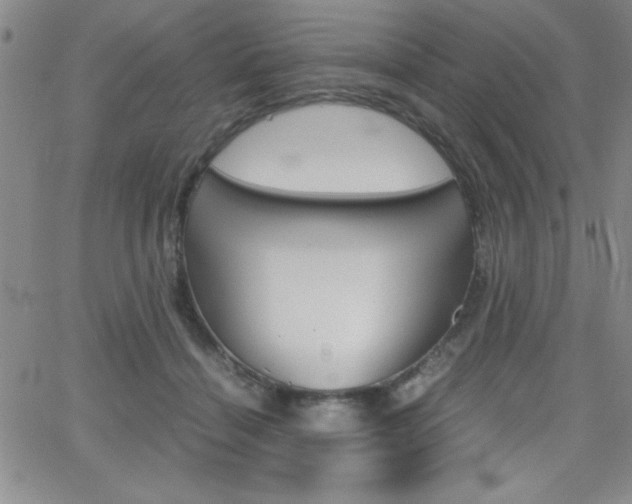 X0000062150460200512090955