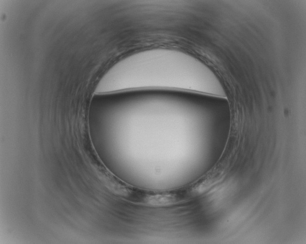 X0000062150461200512090955