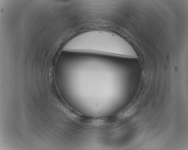 X0000062150462200512090955