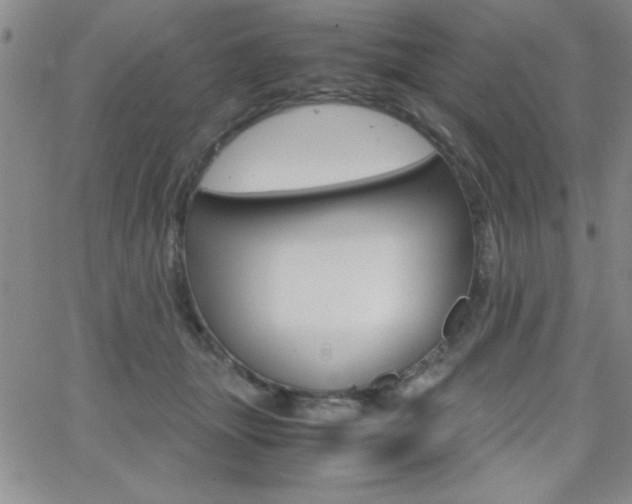 X0000062150463200512090955
