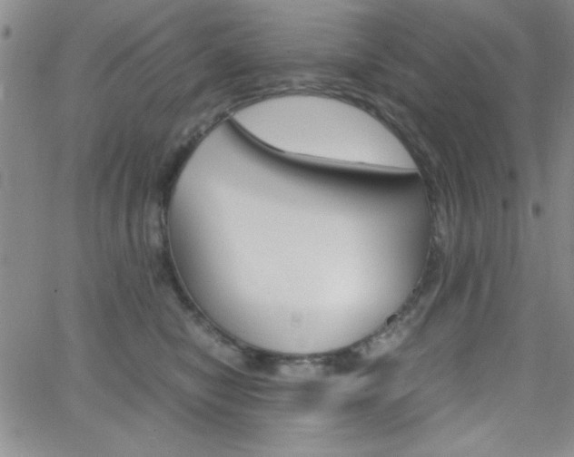 X0000062150470200512090955