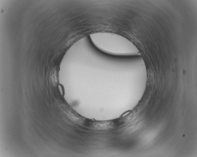 X0000062150479200512090955