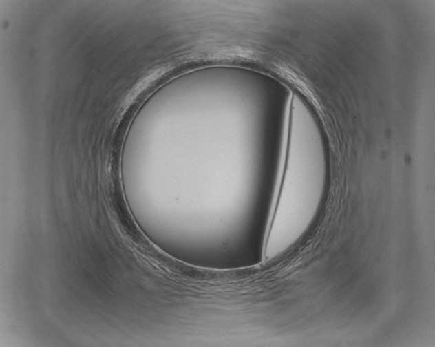 X0000062150483200512090954