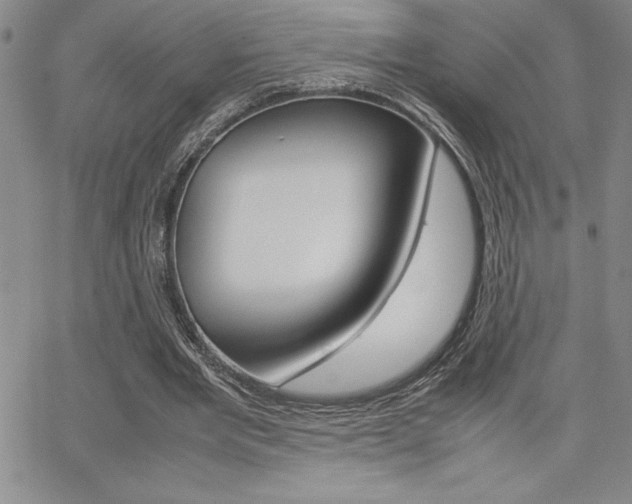 X0000062150485200512090954