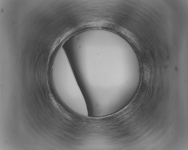 X0000062150486200512090954