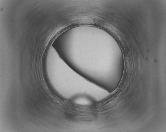 X0000062150487200512090954