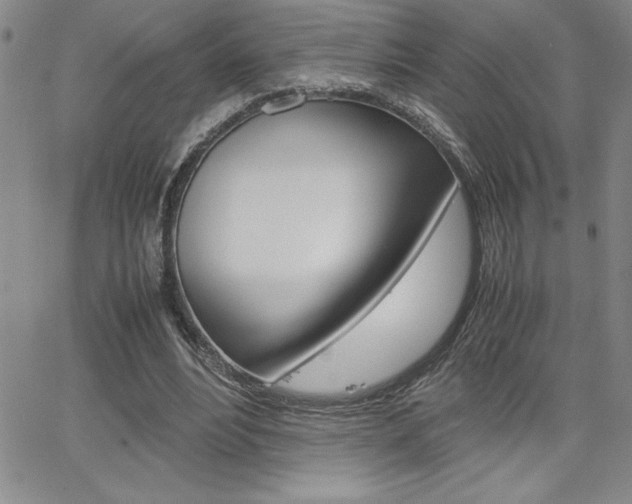 X0000062150488200512090954