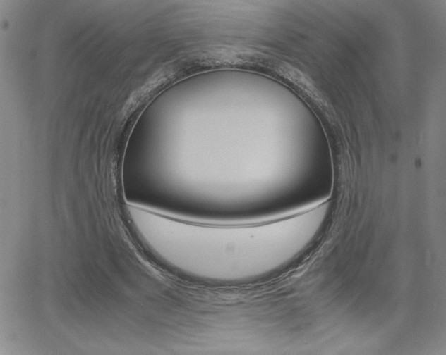 X0000062150489200512090954