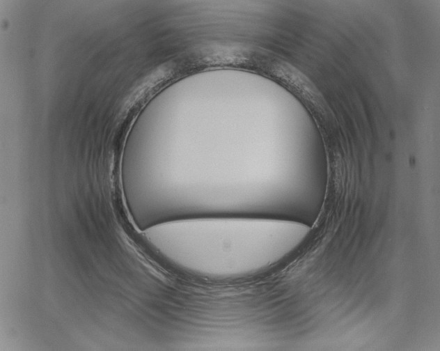 X0000062150490200512090954