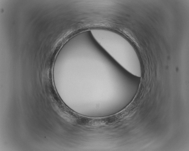 X0000062150491200512090954