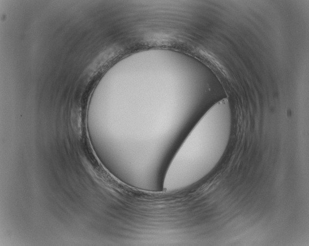 X0000062150494200512090954