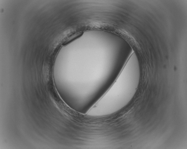 X0000062150496200512090954