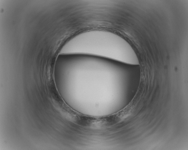 X0000062150504200512090954