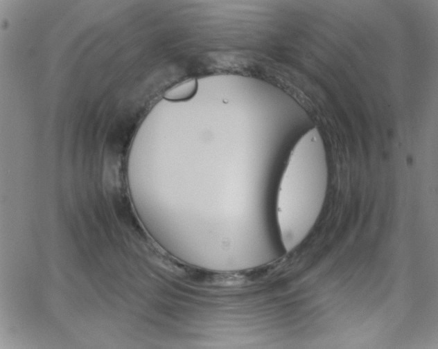 X0000062150514200512090954