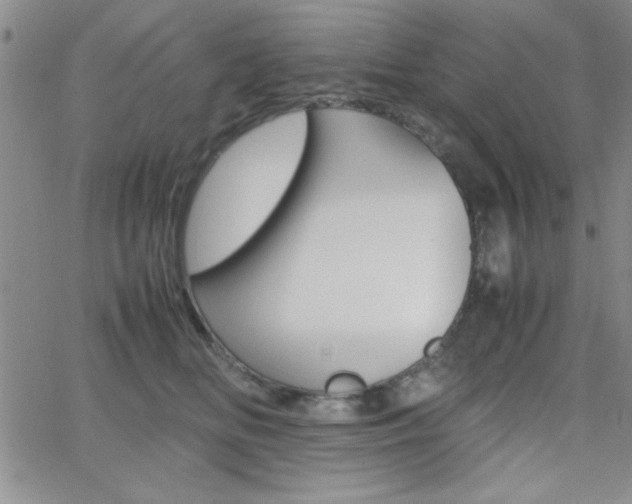 X0000062150518200512090954