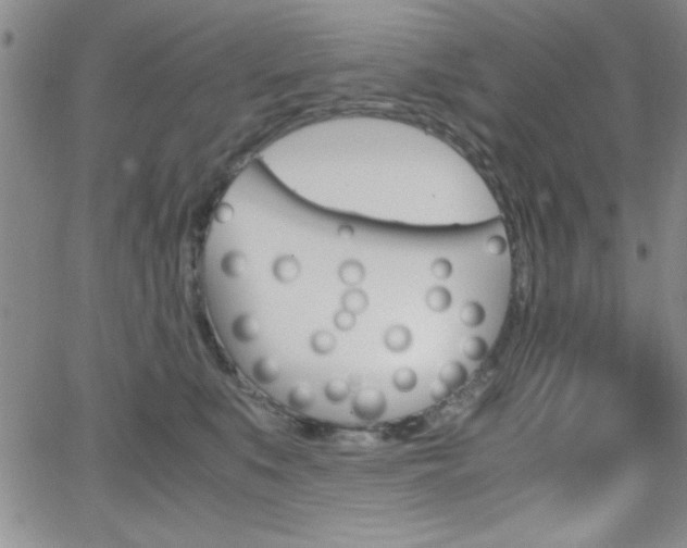 X0000062150519200512090954