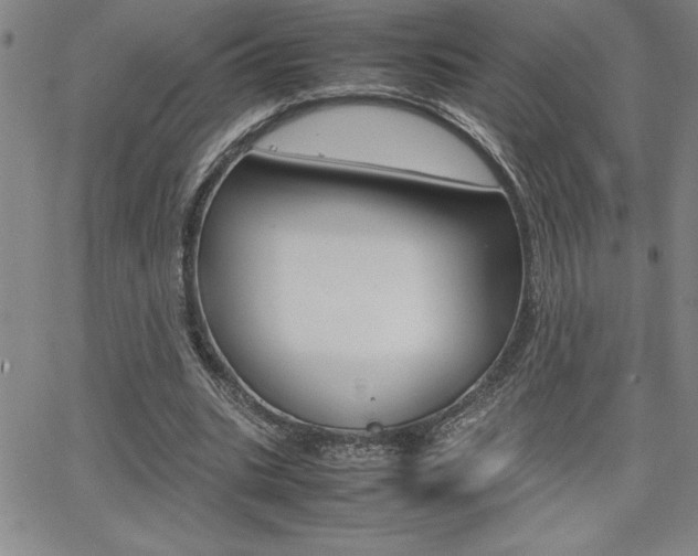 X0000062150535200512090953