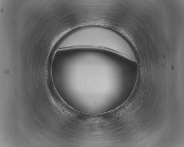 X0000062150536200512090953