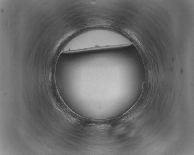 X0000062150539200512090953