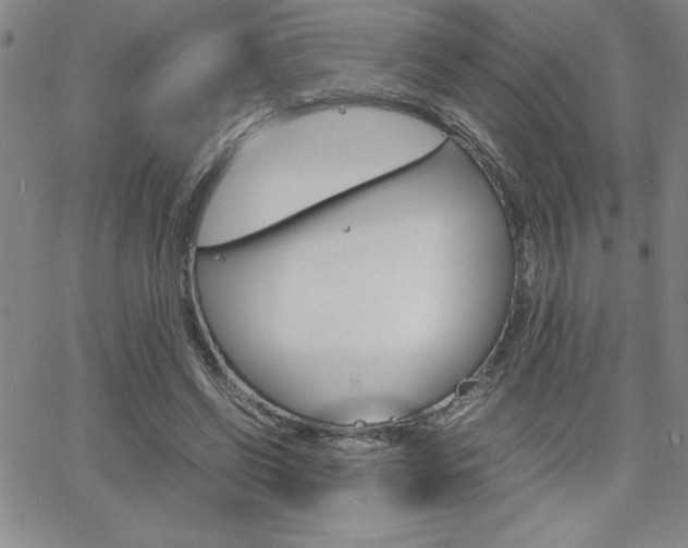 X0000062150542200512090953