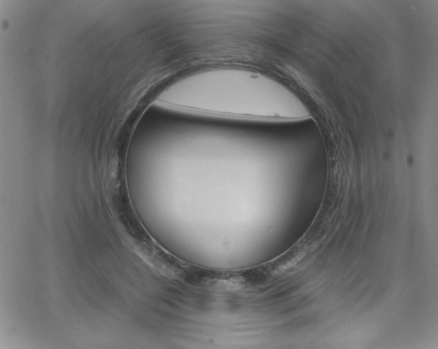 X0000062150548200512090953