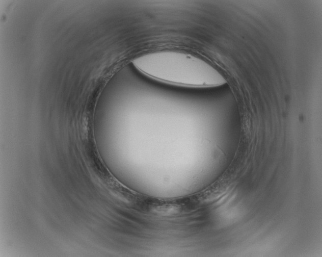 X0000062150551200512090953
