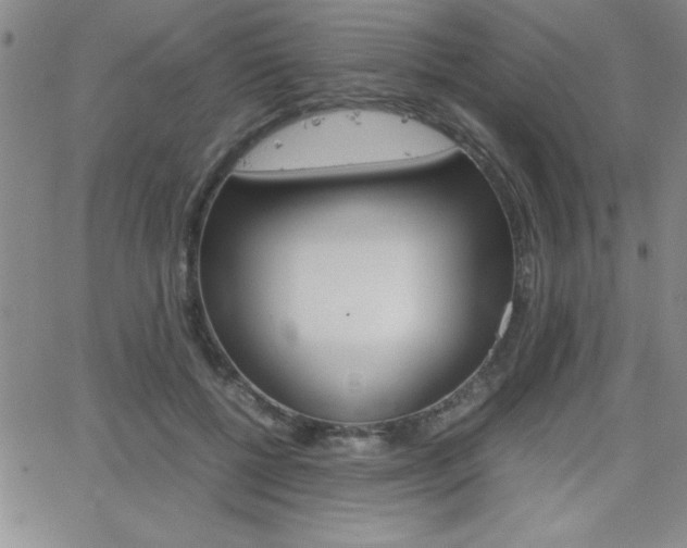 X0000062150552200512090953