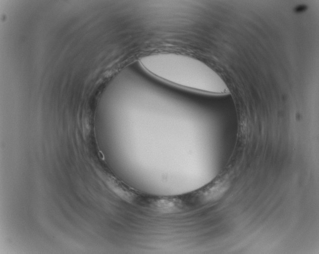X0000062150566200512090953