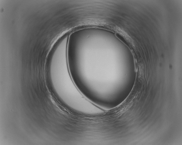 X0000062150580200512090953