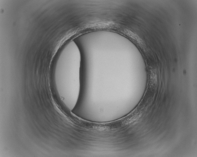 X0000062150582200512090953