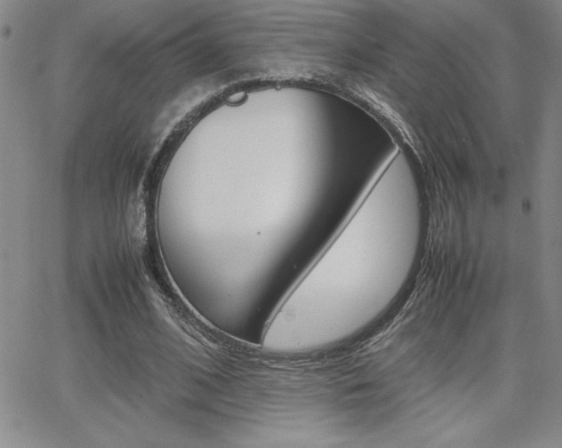 X0000062150584200512090953