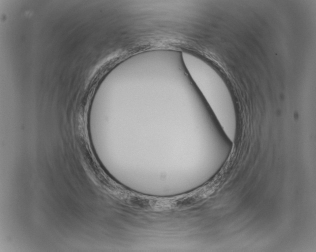 X0000062150587200512090953