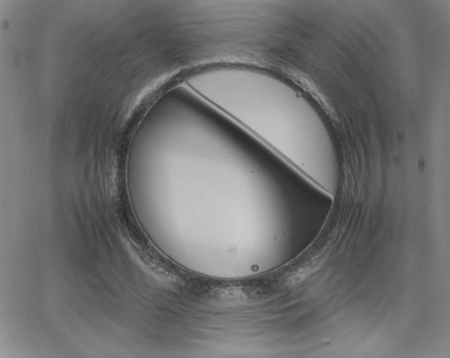 X0000062150588200512090953