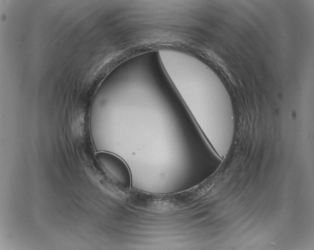 X0000062150596200512090952