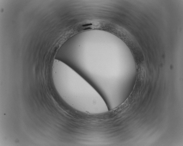 X0000062150598200512090952