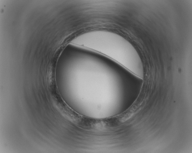 X0000062150600200512090952