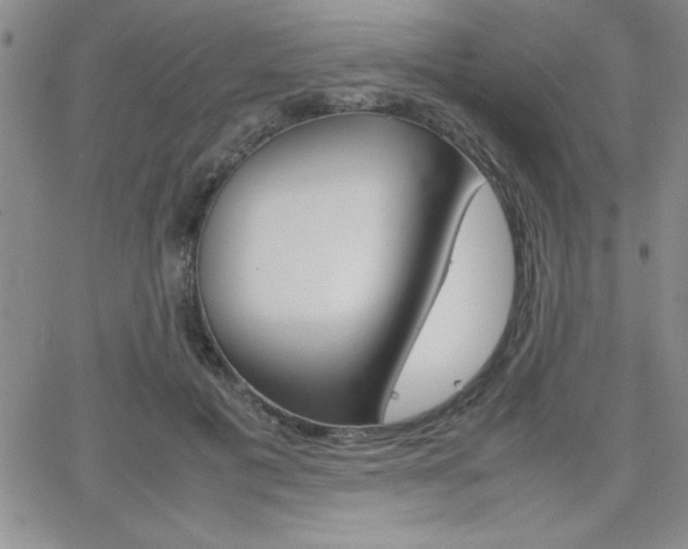 X0000062150601200512090952